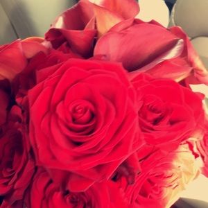 Meet your Posher, Lina